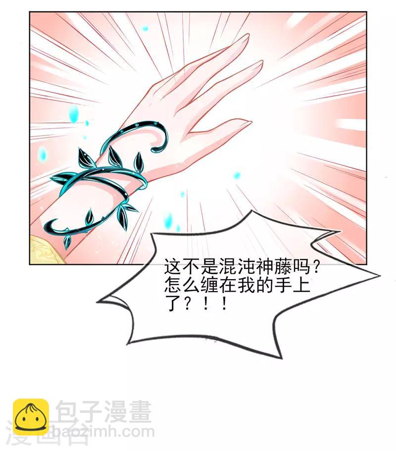 第2话 本总裁穿越成叶言-第3话