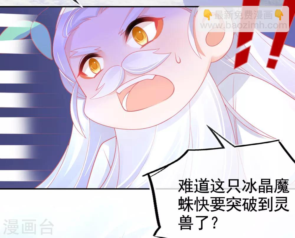 第38话 竟然是万年雪雾竹-第41话