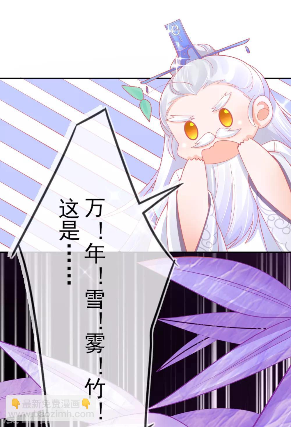 第38话 竟然是万年雪雾竹-第41话