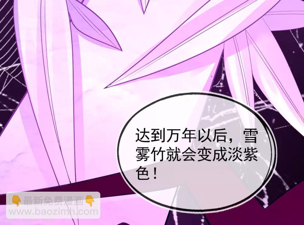 第38话 竟然是万年雪雾竹-第41话