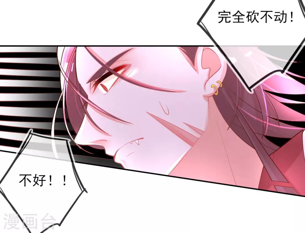 第38话 竟然是万年雪雾竹-第41话