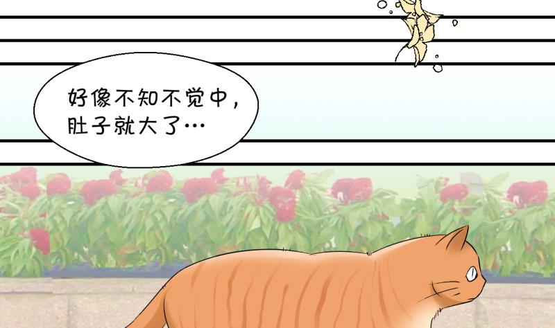 第203话 给孩子做榜样 2-第203话