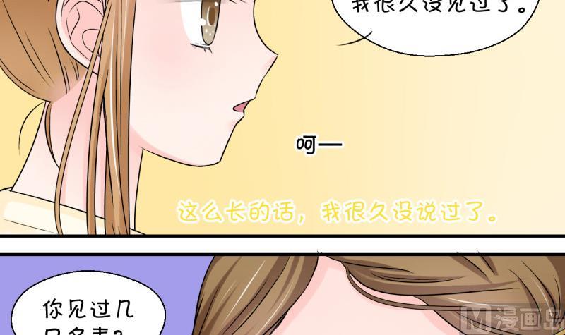 第81话 回家去找男神 1-第81话