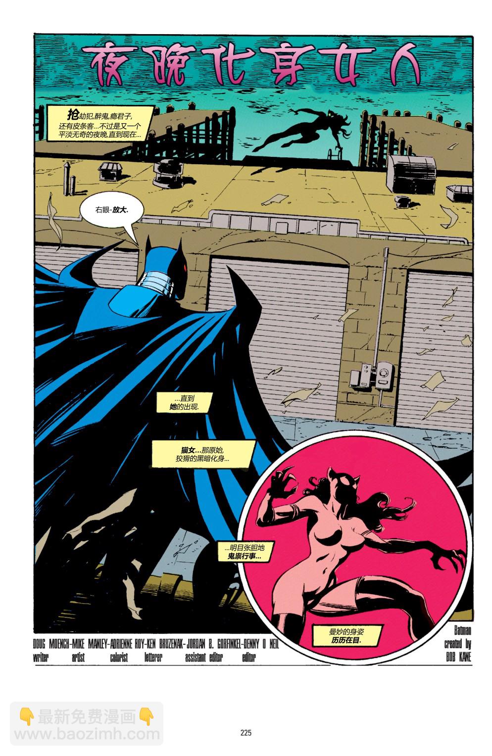 蝙蝠侠 - 第503卷 - 2