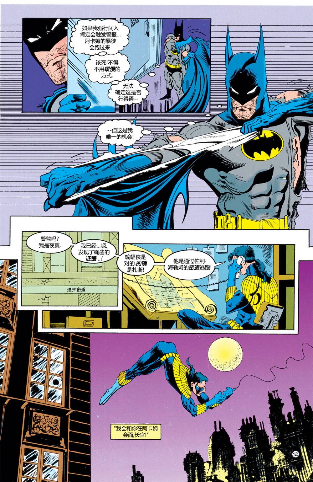 蝙蝠俠：蝙蝠之影 - 第04卷 - 2