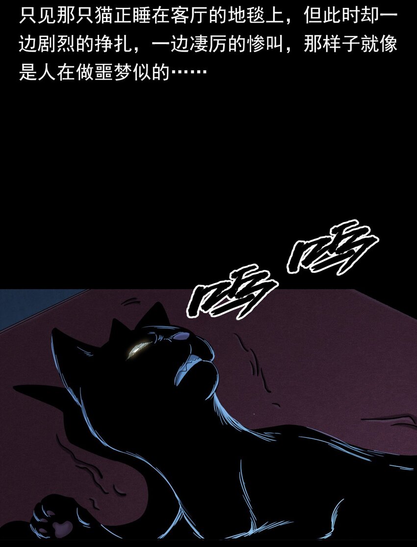 彼岸姐妹 - 035 诡异的黑猫（上）(2/2) - 1