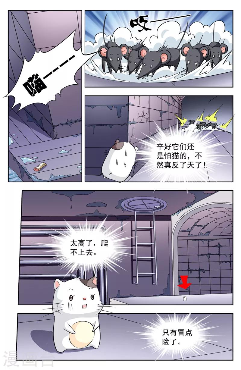 第113话 群鼠4