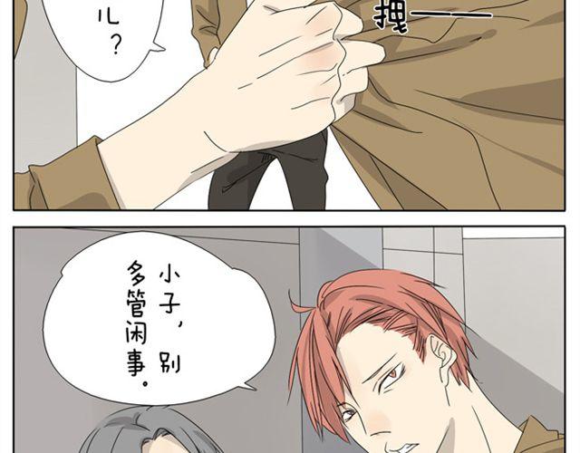 第19话 小子，我哥你也敢碰-第19话