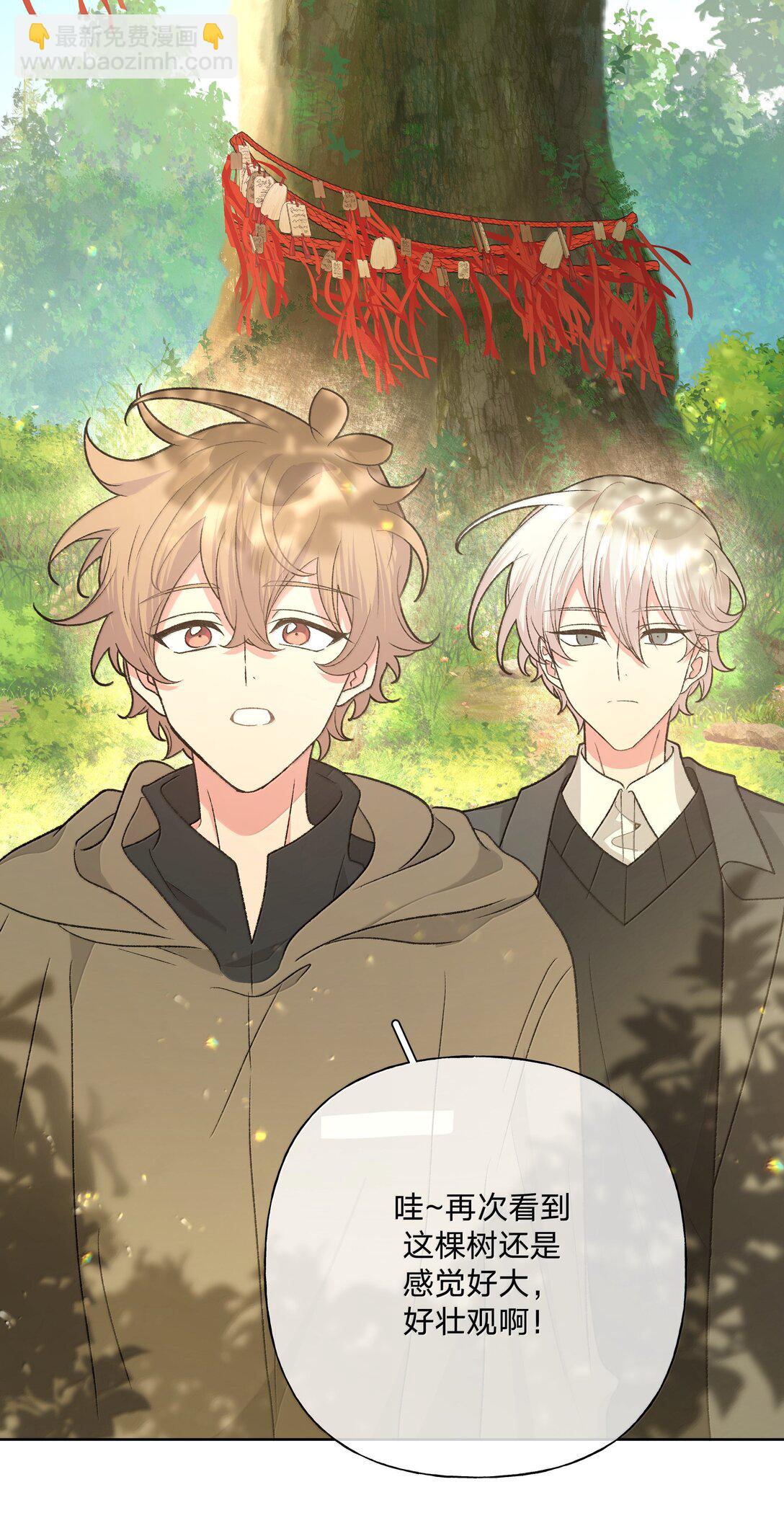 124 好大一棵树-第139话