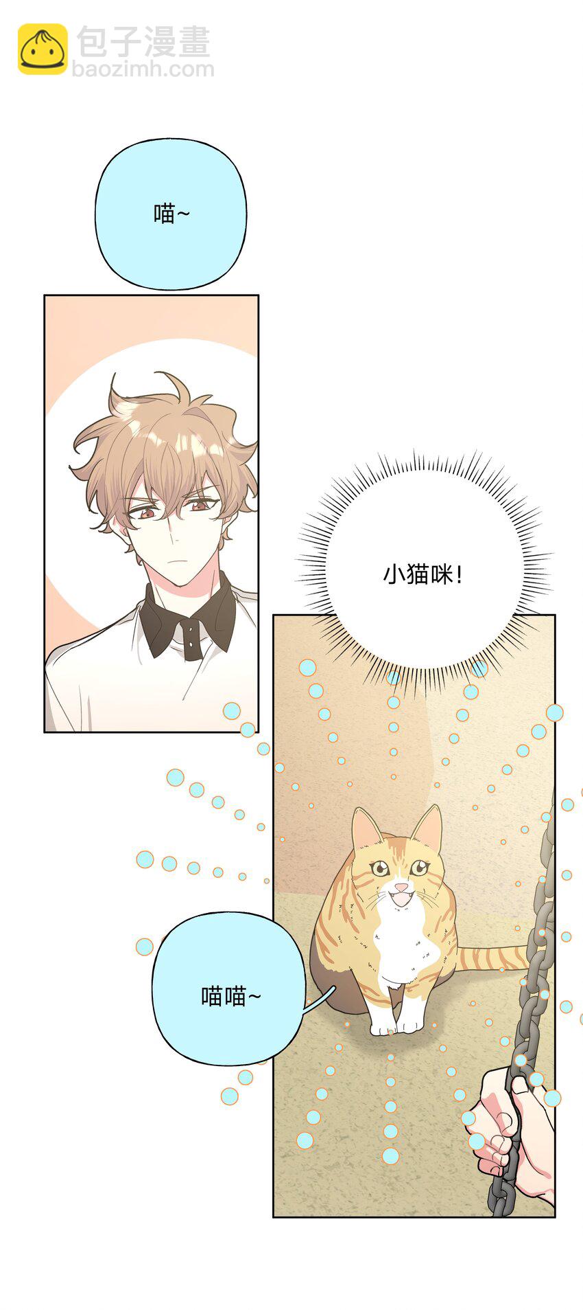 别对我表白 - 008 两只流浪猫(1/2) - 5