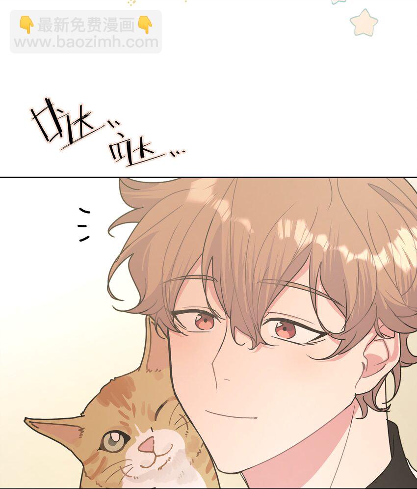 别对我表白 - 008 两只流浪猫(1/2) - 7