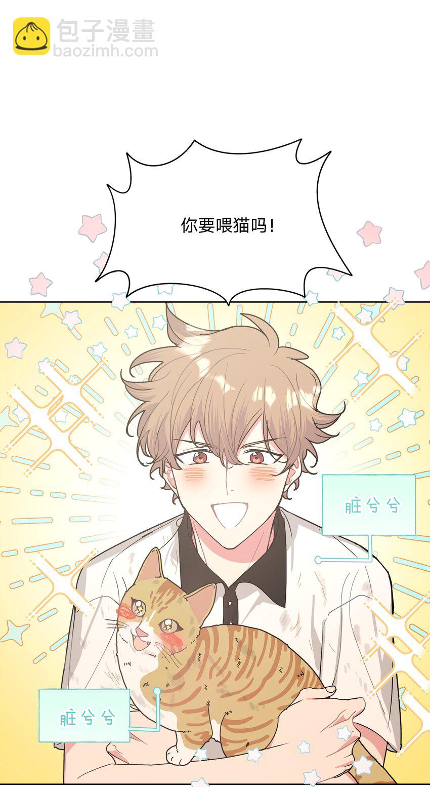 别对我表白 - 008 两只流浪猫(1/2) - 3