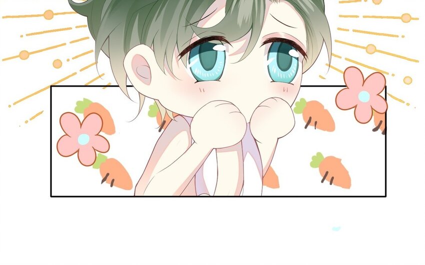 1 新作预告(1/2)-第1话