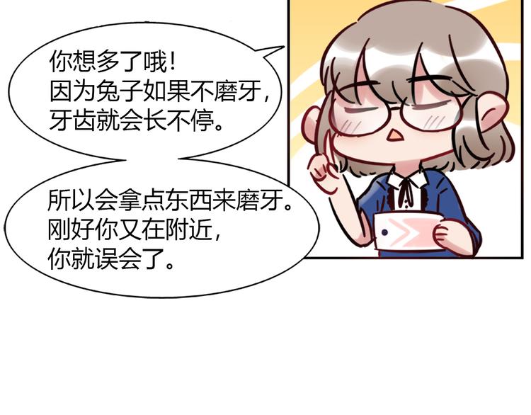 特别篇 关于兔子的那些事01-第57话