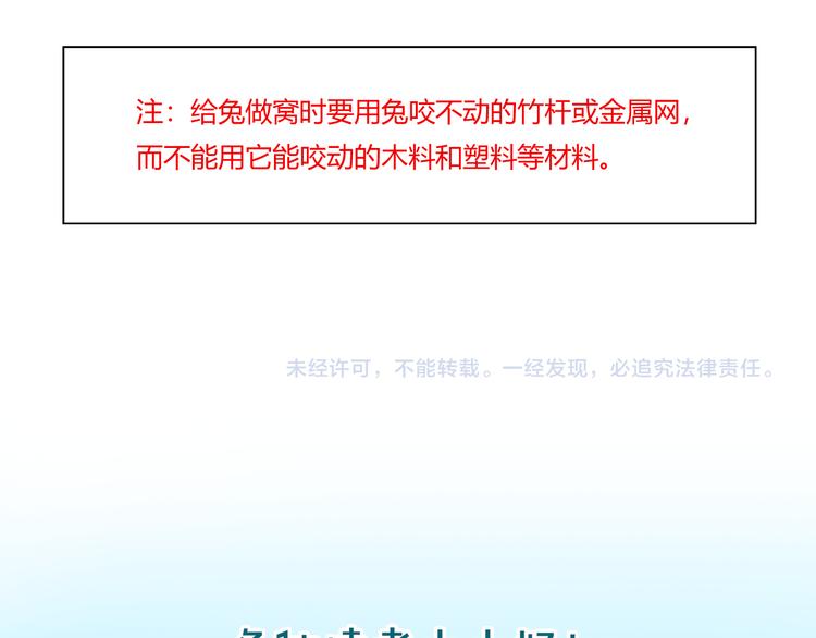 特别篇 关于兔子的那些事01-第57话