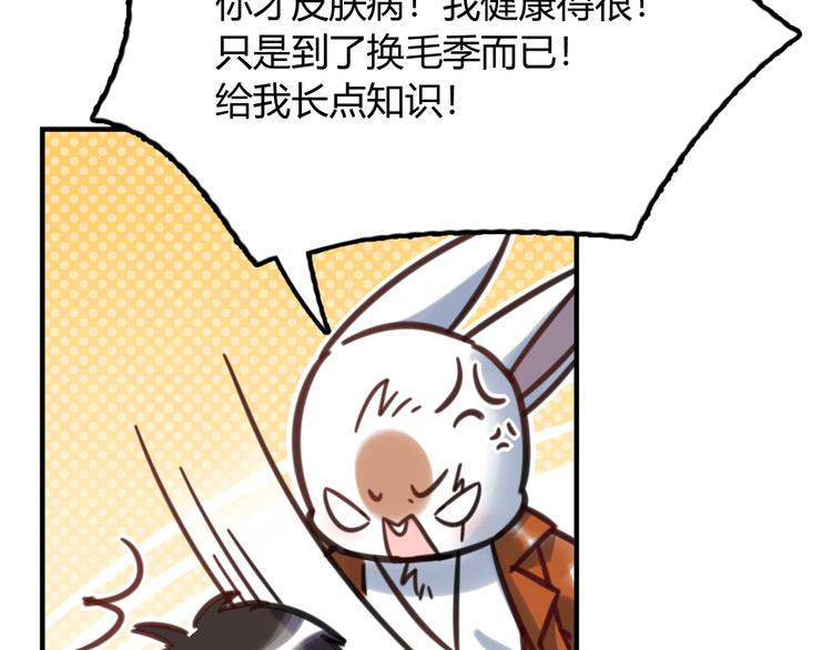 特别篇 关于兔子的那些事03-第59话