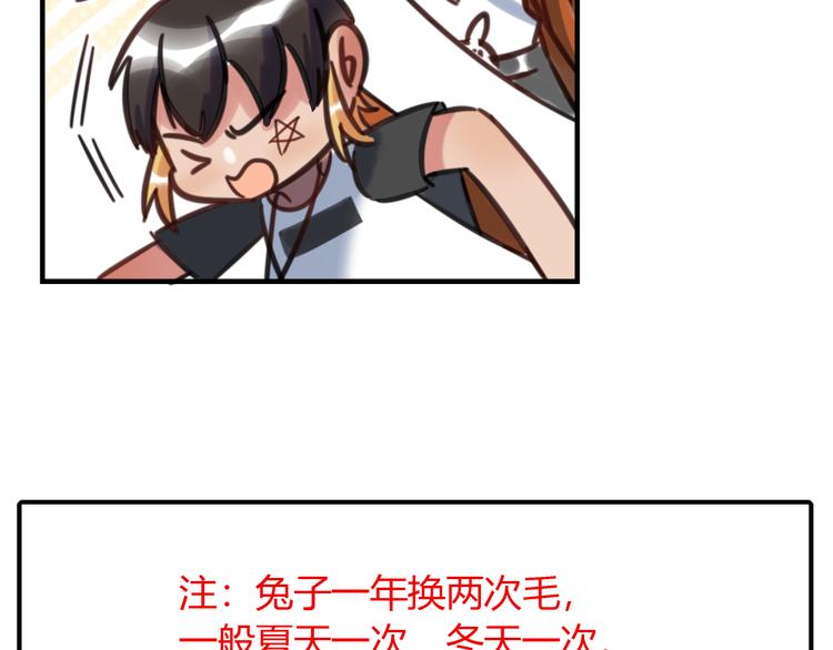 特别篇 关于兔子的那些事03-第59话
