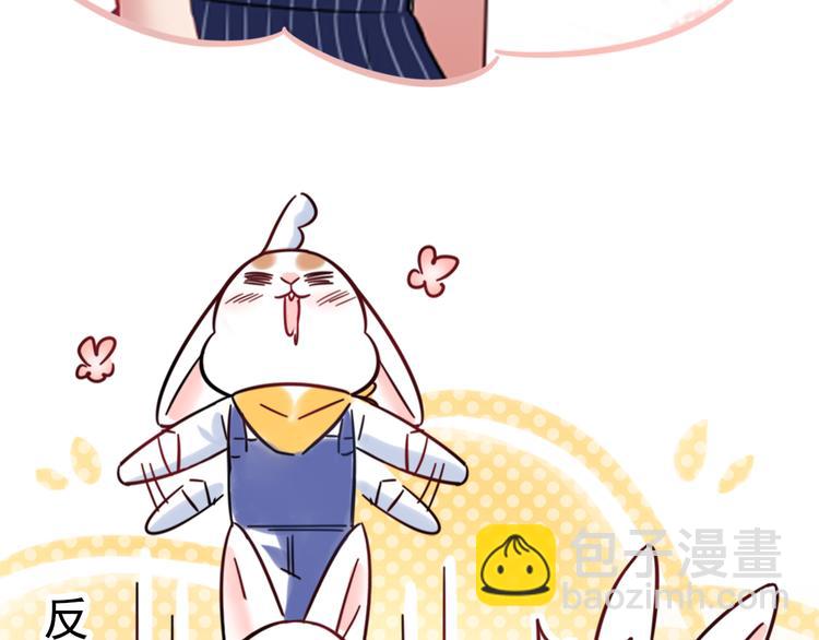 特别篇 关于兔子的那些事03-第59话