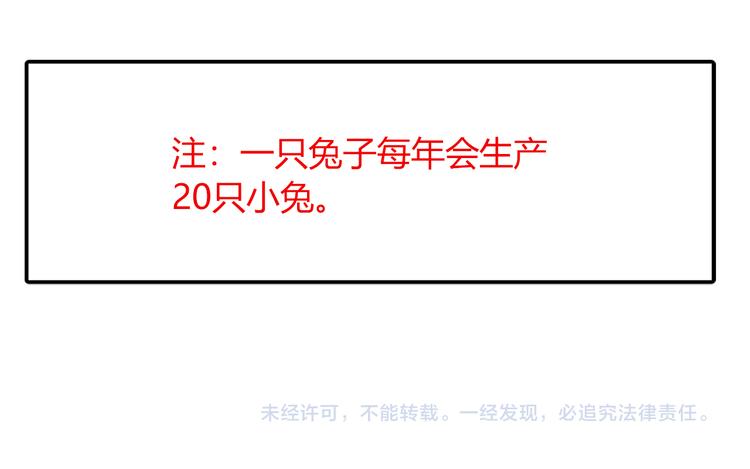 特别篇 关于兔子的那些事05-第61话