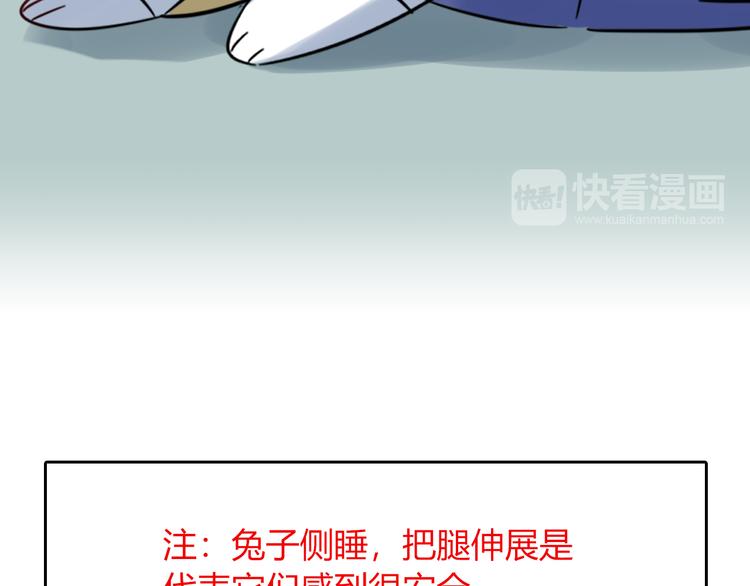 特别篇 关于兔子的那些事05-第61话