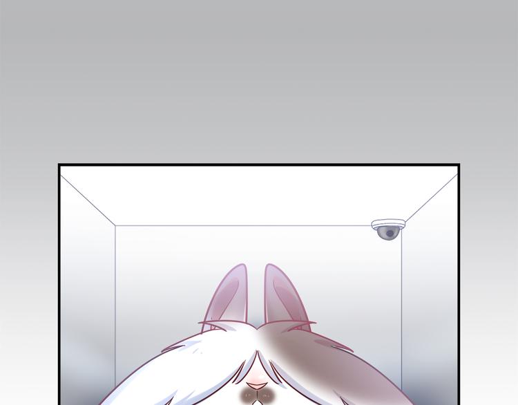 第79话 按你说的去做吧(1/2)-第85话