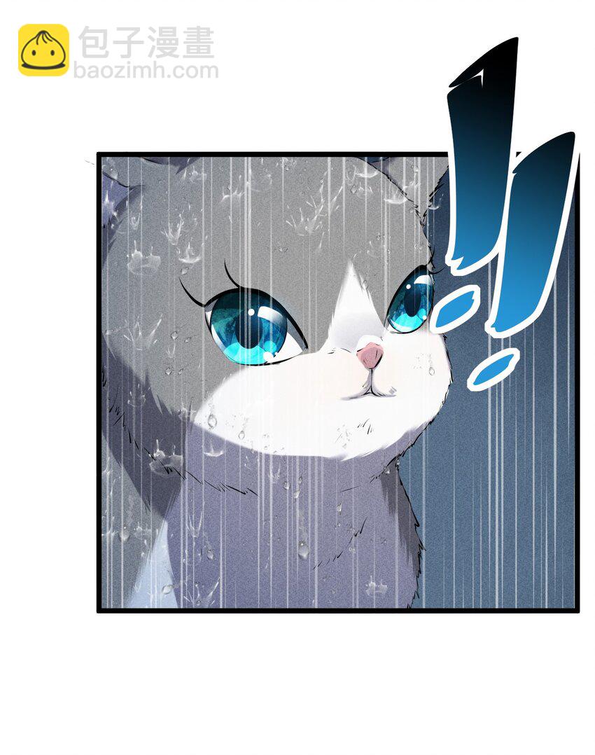 019 猫与女孩(1/2)-第19话