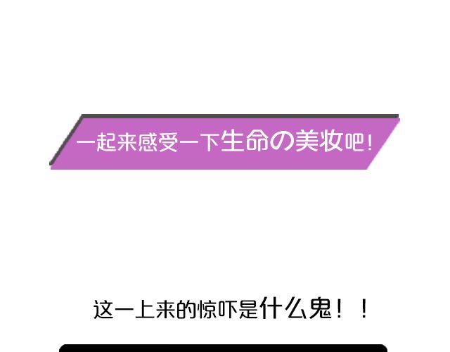 第5期 上墙 |  美妆大赛(1/2)-第11话