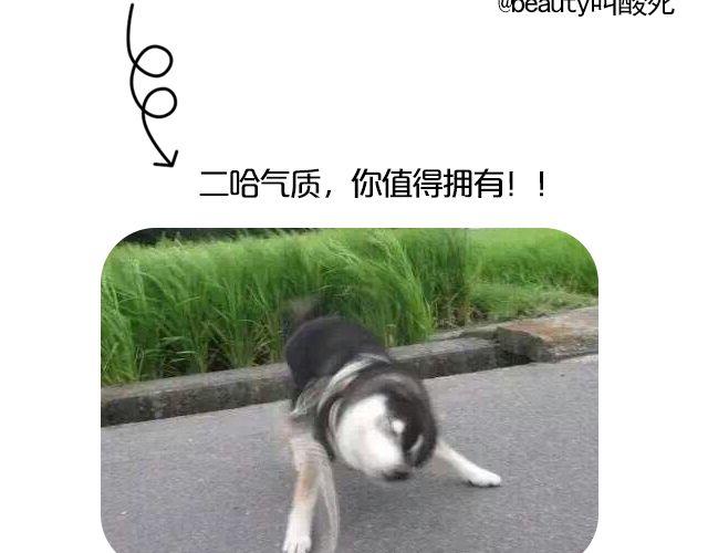 第9期 上墙 | 别人拍你和你拍自己(1/2)-第19话