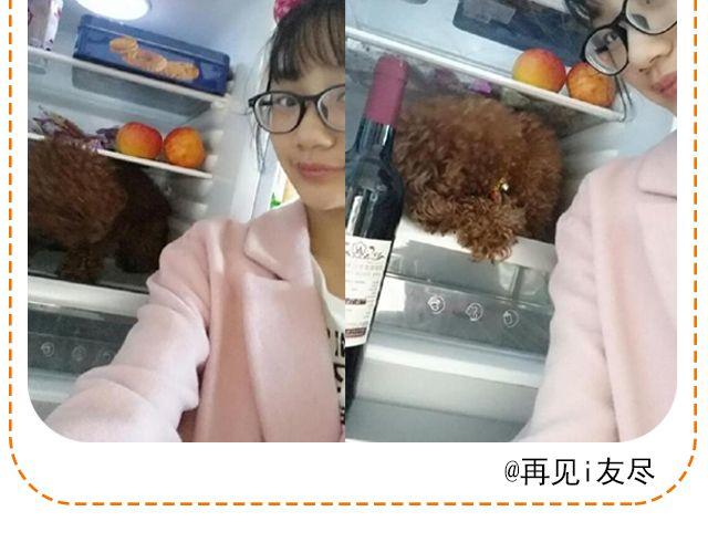 第11期 上墙 | 一张图证明你是吃货-第23话