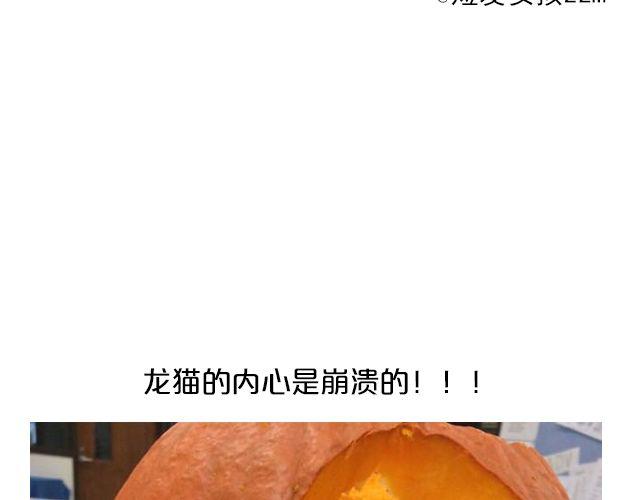 第13期 上墙 | 万圣节满分作业！-第27话