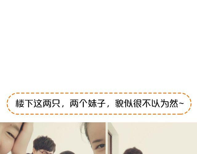 第14期 上墙 | 我爱当灯泡-第29话