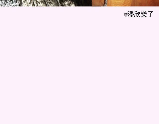 第17期 上墙|身边的女神-第35话