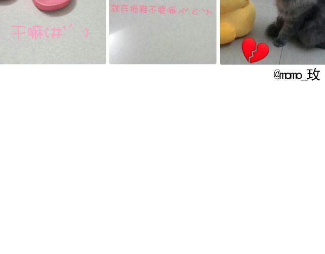 第19期 上墙 | 我家宠物被我玩坏了！-第39话