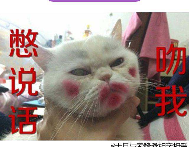 第19期 上墙 | 我家宠物被我玩坏了！-第39话