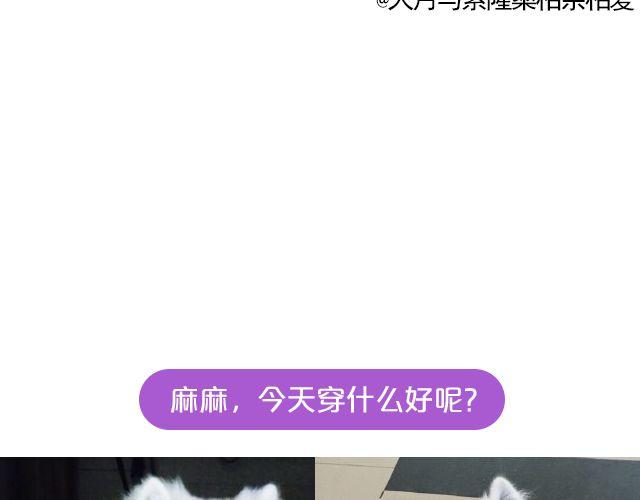 第19期 上墙 | 我家宠物被我玩坏了！-第39话