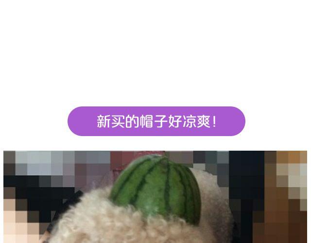 第19期 上墙 | 我家宠物被我玩坏了！-第39话