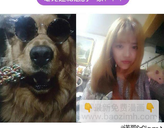 第19期 上墙 | 我家宠物被我玩坏了！-第39话