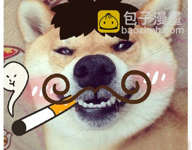 第19期 上墙 | 我家宠物被我玩坏了！-第39话