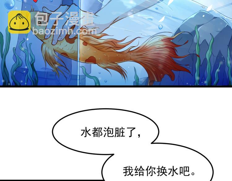 彬彬有鯉 - 第1話 刀下留魚！(2/4) - 6