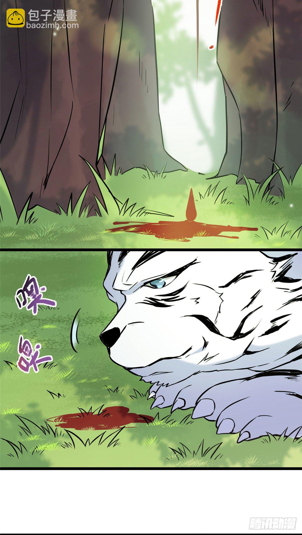 17 白虎认主-第19话