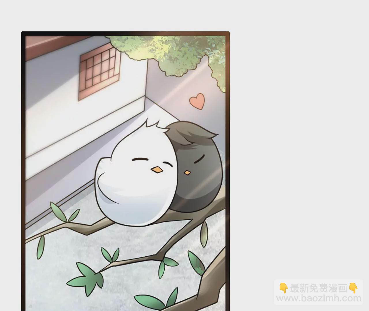 病嬌徒弟都想獨佔我 - 第三話 這個客棧不正經(1/3) - 4