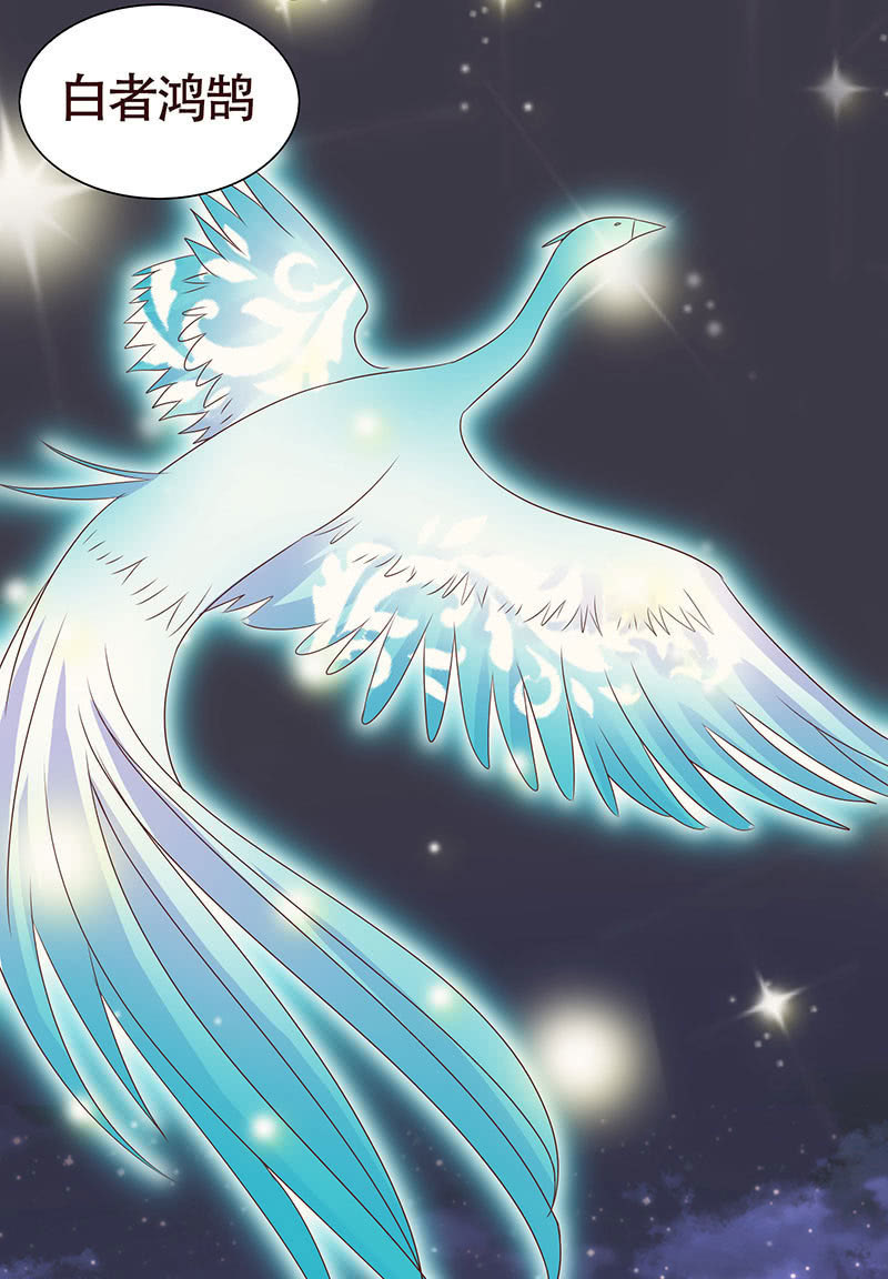 焚身以火(1/2)-第101话