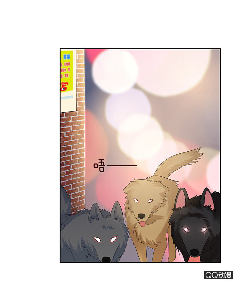 激烈的冲突(1/2)-第13话