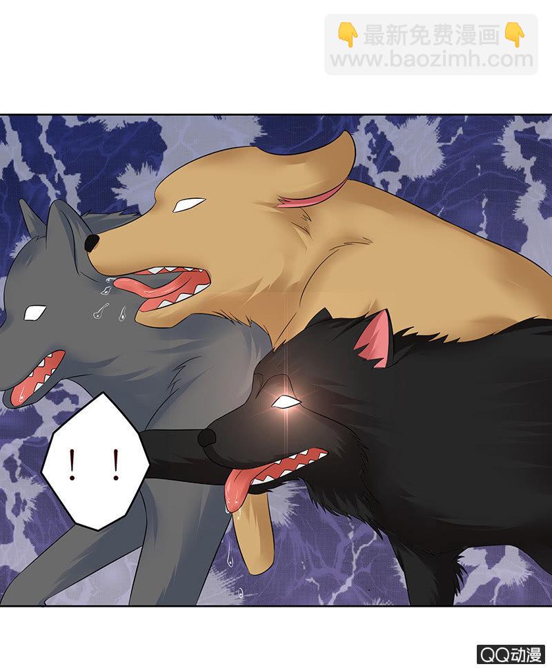 激烈的冲突(1/2)-第13话