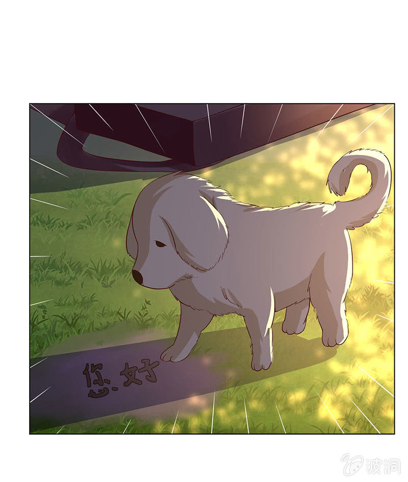 救我(1/2)-第127话