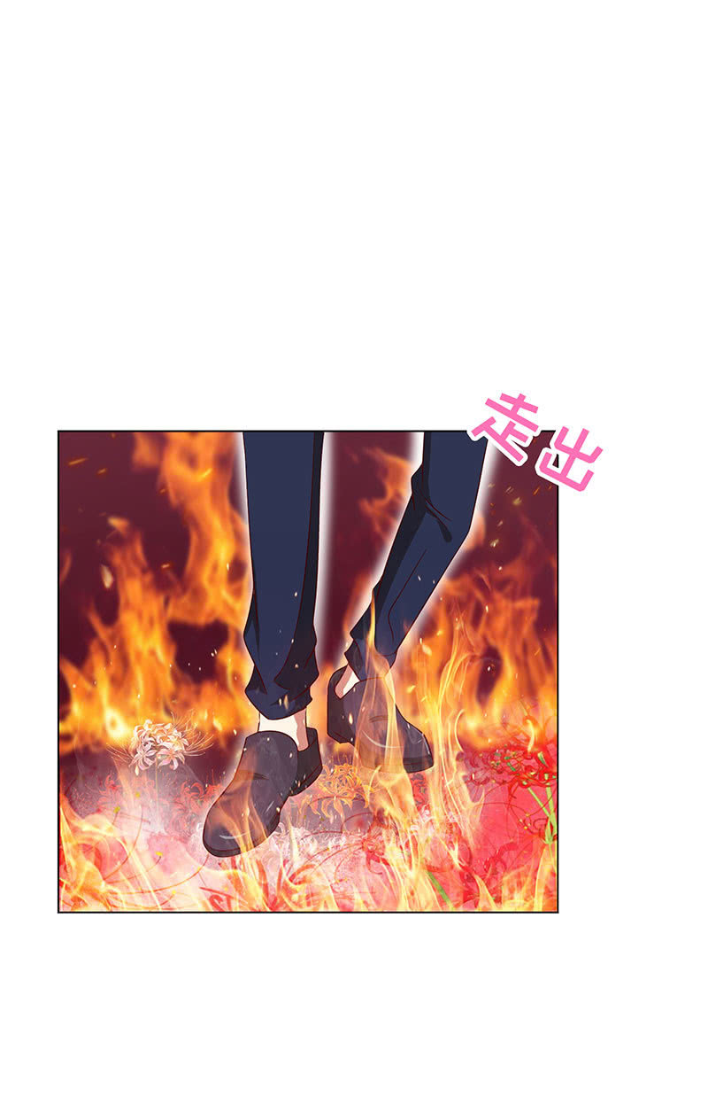 青鸾(1/2)-第135话