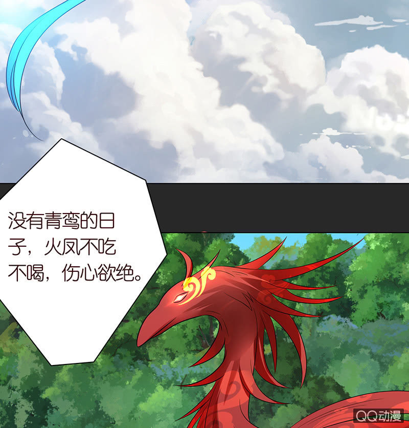 青鸾与火凤(1/2)-第53话