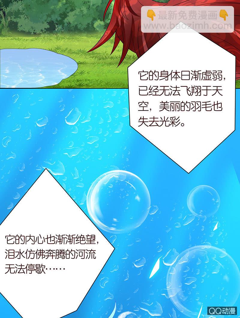 青鸾与火凤(1/2)-第53话