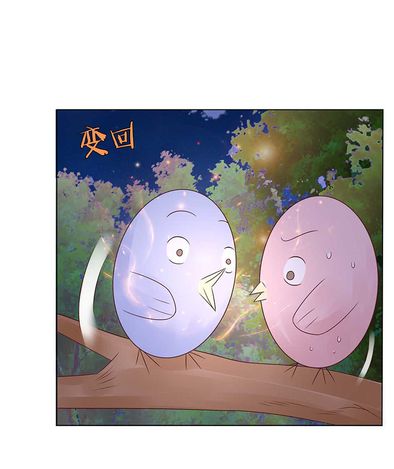 变色的玫瑰(1/2)-第63话