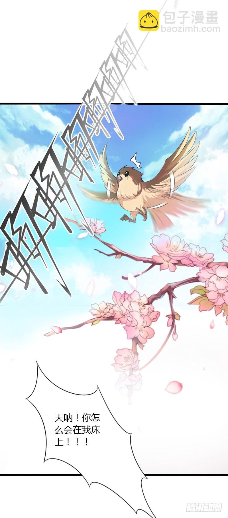 第31话 一夜疯狂-第31话